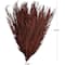 43" Natural Dried Plant Palm Leaf Bunch with Feather-Inspired Stems